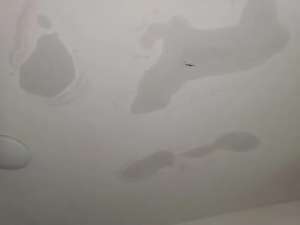 屋頂漏水zui實(shí)用的解決辦法！